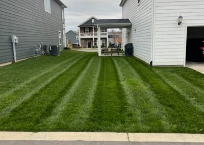 lawn treatments